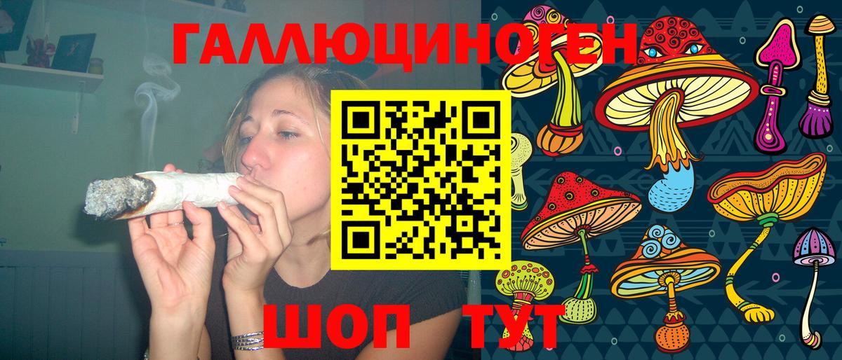 Стрежевой  где можно купить   Вход с VPN  Псилоцибиновые грибы Psilocybe 